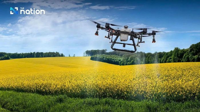 Drone trên cánh đồng Thái Lan. Ảnh: Nation