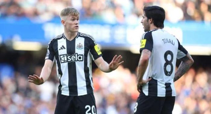 Nhiều ngôi sao Newcastle trong tầm ngắm Quỷ đỏ.