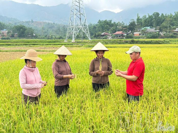 Bí thư Chi bộ bản Cói Bánh, xã Mường Ảng tuyên truyền, vận động nhân dân xóa đói giảm nghèo bền vững.