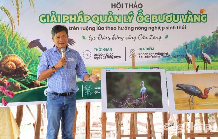 TS. Trần Triết, Trường Đại học Khoa học Tự nhiên, Đại học Quốc gia - Hồ Chí Minh, Hội Sếu Quốc tế chia sẻ về tác động của hóa chất diệt ốc bươu vàng đến đa dạng sinh học trong hệ sinh thái ruộng lúa.