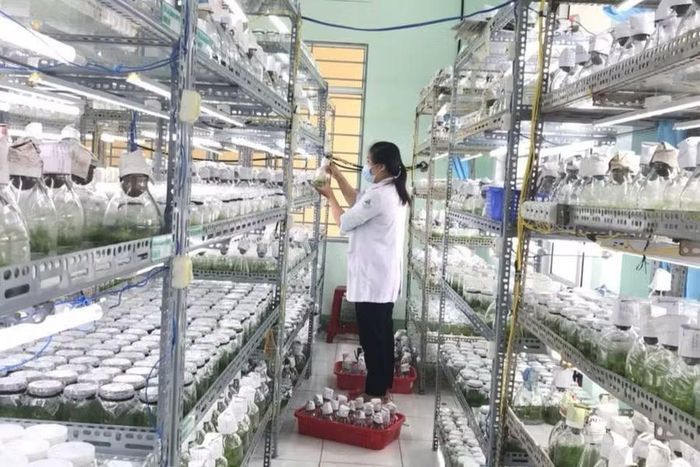 Mục tiêu đến năm 2030, tỉnh Gia Lai phát triển đội ngũ trí thức tăng về số lượng và nâng cao về chất lượng. Ảnh minh họa: N.H
