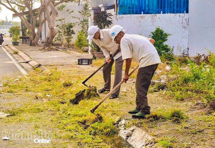 Hội viên, nông dân tham gia "Ngày Chủ nhật xanh".