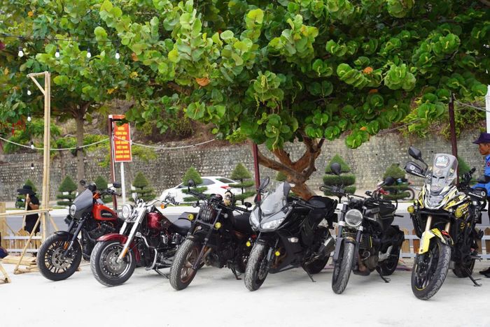 Đội hình xe tập kết về Nha Trang sẵn sàng cho lễ hội.