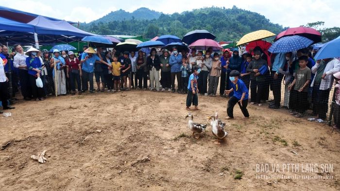 Trò chơi bịt mắt bắt vịt