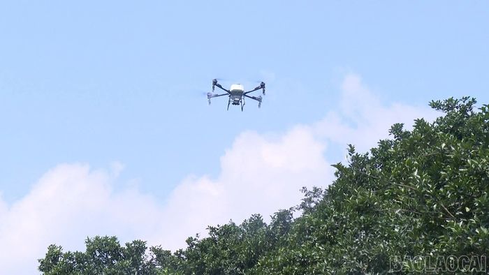 Lợi ích lớn nhất của flycam là giúp người dân giảm tiếp xúc trực tiếp với hóa chất.