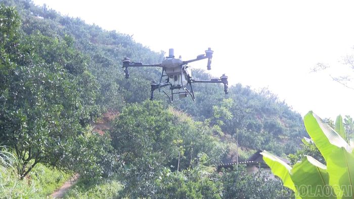 Sử dụng thiết bị bay không người lái trong sản xuất nông nghiệp giúp nông dân xã Nghĩa Tâm giảm công lao động.