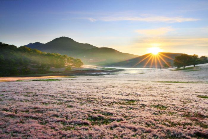Bình minh hồ Suối Vàng. Ảnh: Võ Trang