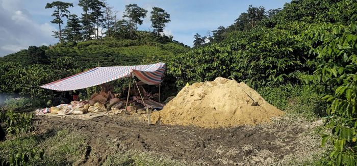 Lán trại khai thác vàng trái phép