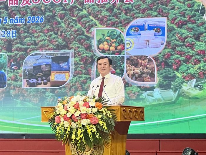 Thứ trưởng Bộ Công Thương Nguyễn Sinh Nhật Tân phát biểu tại hội nghị.