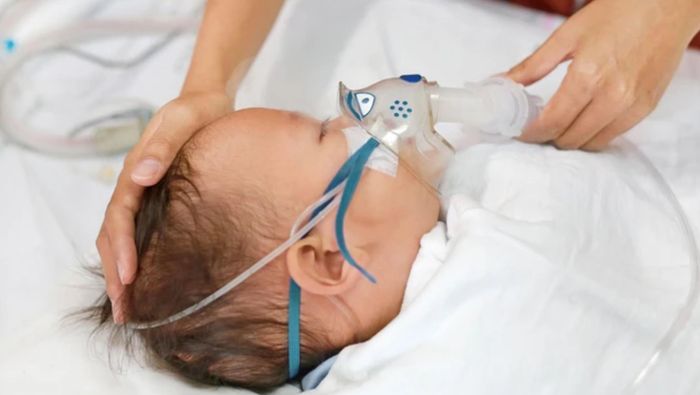 Phế cầu gây ra các bệnh phế cầu xâm lấn như viêm màng não, nhiễm trùng huyết, viêm phổi…