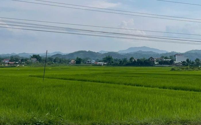 Thời tiết các khu vực trong tỉnh ngày 28/5/2026 sáng nhiều mây, có mưa, mưa rào và dông.