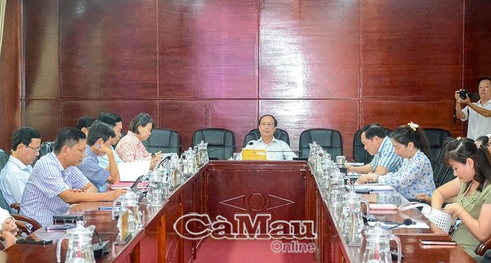 Phó Chủ tịch HĐND tỉnh Phan Hoàng Vũ chủ trì hội nghị tại điểm cầu tỉnh Cà Mau.