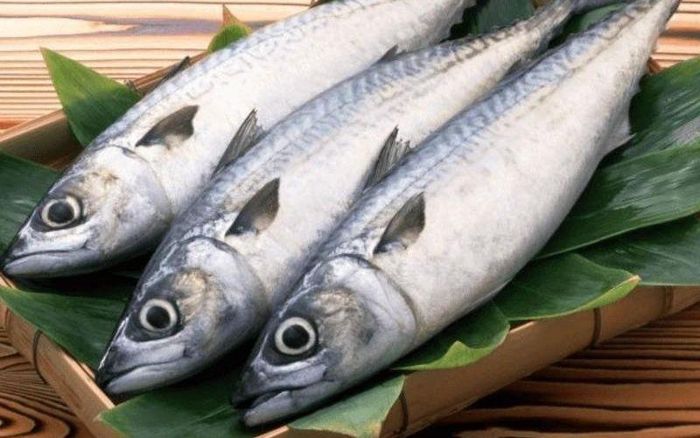 Một trong những lợi ích nổi bật của cá thu là hỗ trợ sức khỏe tim mạch. Ảnh minh họa
