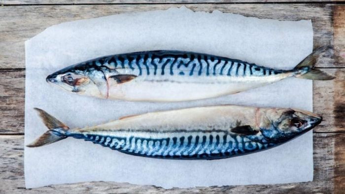 Khi nhắc tới omega-3, nhiều người thường nghĩ ngay tới cá hồi. Tuy nhiên, theo Trung tâm Dữ liệu Thực phẩm thuộc Bộ Nông nghiệp Mỹ, hàm lượng omega-3 trong cá thu thậm chí còn cao hơn đáng kể. Ảnh minh họa