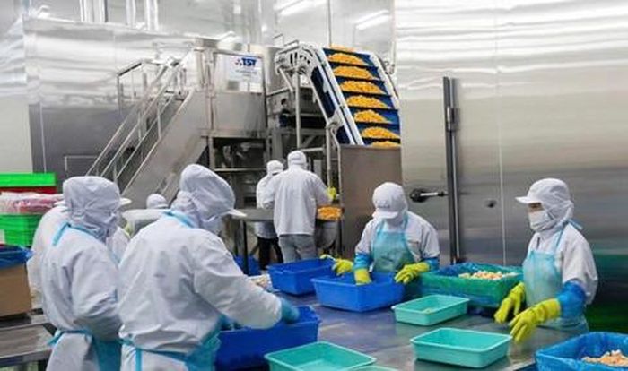 Công nhân đang làm việc tại một nhà máy chế biến thực phẩm