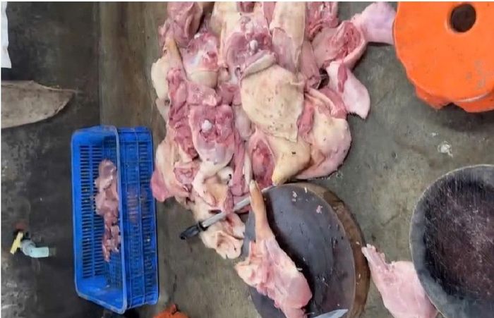 Số thịt heo hư hỏng lúc bị cơ quan chức năng phát hiện