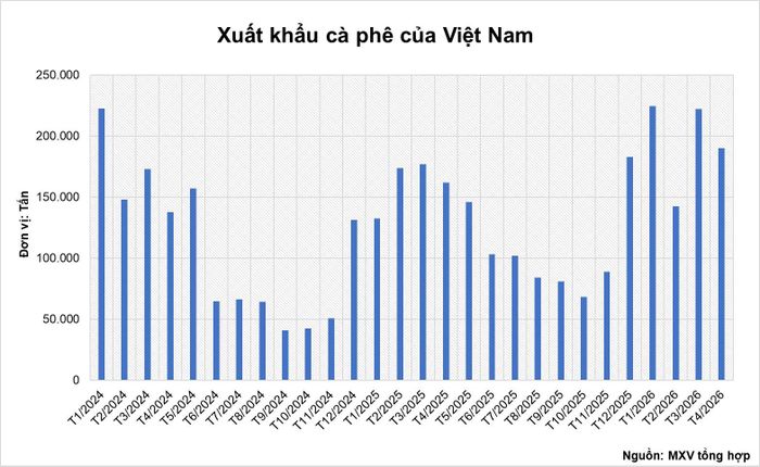 Xuất khẩu cà phê Việt Nam tới tháng 4-2026. Nguồn: MXV
