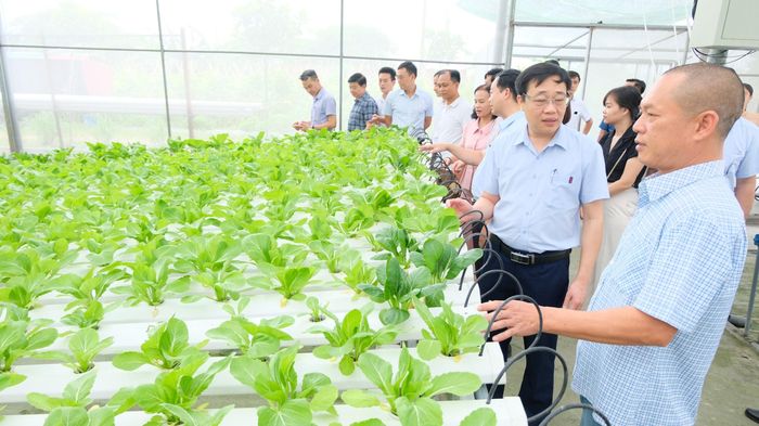 Nông dân trong kỷ nguyên mới cần có kiến thức. Ảnh: Tùng Nguyễn.