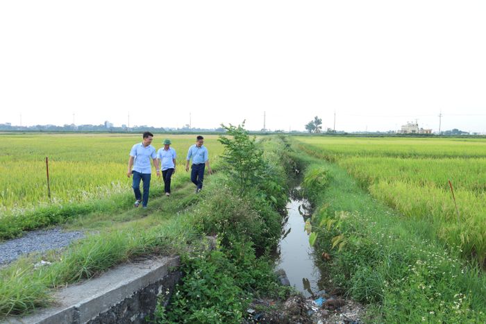 Nhiều công trình thủy lợi ở xã Phúc Sơn tiếp tục được quan tâm đầu tư trong thời gian tới. Ảnh: Kim Nhuệ
