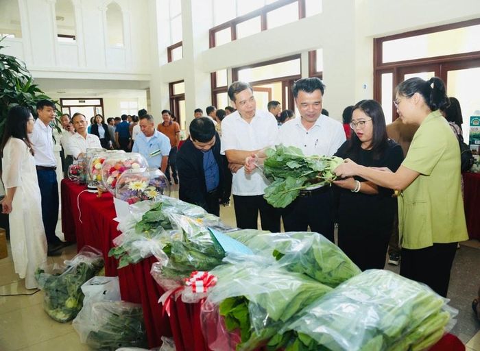 Xã Mê Linh đẩy mạnh tiêu thụ nông sản an toàn qua chuỗi liên kết. Ảnh: PV