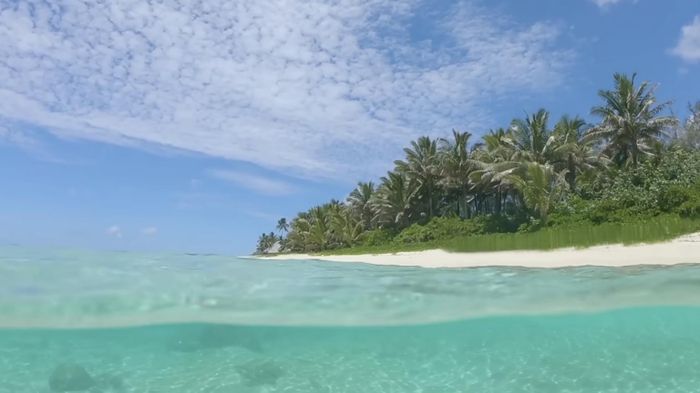 Việc đại dương hóa ngọt không phải là giải pháp cứu cánh cho tình trạng thiếu nước mà sẽ dẫn đến sự tuyệt diệt của hệ sinh thái biển.