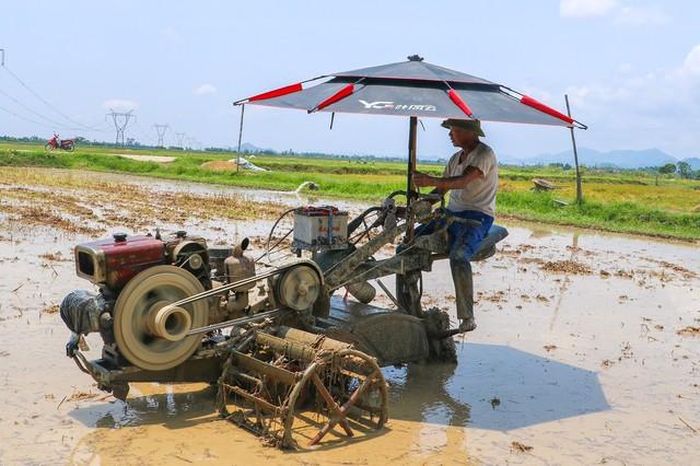 Người dân làm việc ngoài ruộng cũng tim cách che nắng đề phòng sốc nhiệt.