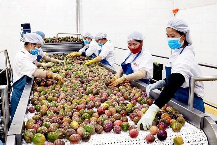 Sản phẩm chanh leo được ưa chuộng tại thị trường EU. Ảnh: H.Thanh.