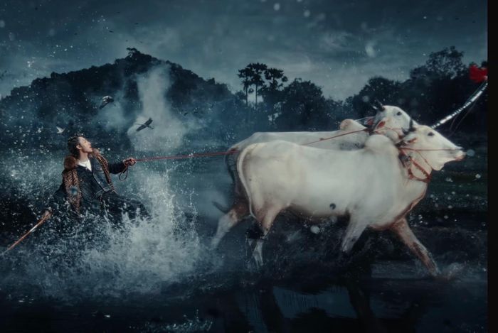 Lễ hội đua bò trong MV được Sơn Tùng M-TP phát hành ngày 28/5. Ảnh: Sơn Tùng M-TP Official/YouTube.