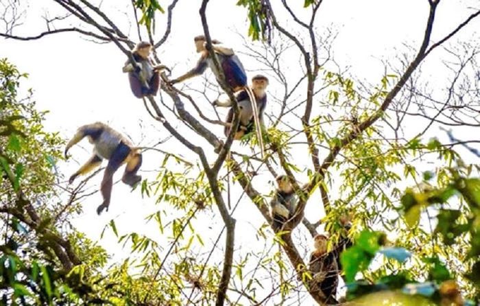 Việc UBND tỉnh Gia Lai công nhận Kon Ka Kinh là điểm du lịch được kì vọng sẽ tạo thêm động lực để địa phương phát huy hiệu quả tiềm năng du lịch sinh thái gắn với bảo tồn thiên nhiên