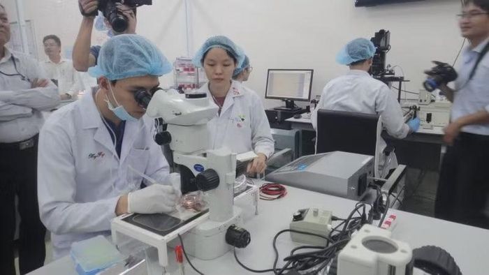 Hoạt động nghiên cứu khoa học tại Đại học Quốc gia Thành phố Hồ Chí Minh