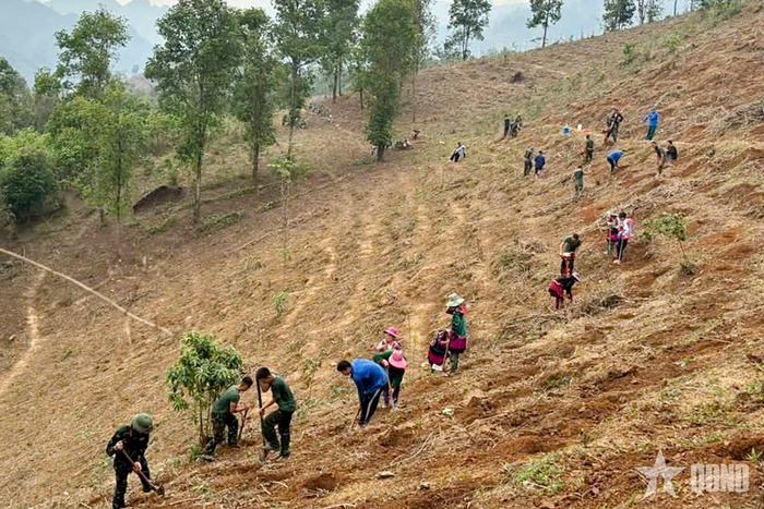Cán bộ, chiến sĩ Sư đoàn 355 tham gia chiến dịch, giúp đỡ nhân dân. Ảnh: QUANG QUÝ