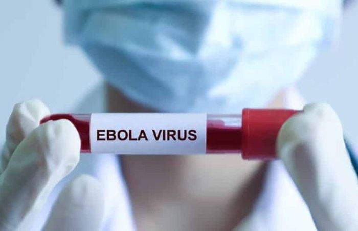  Dịch bệnh do virus Ebola đang là vấn đề y tế công cộng gây quan ngại. Ảnh: WHO 