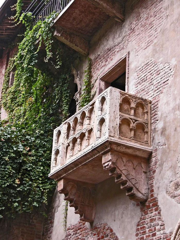 Ảnh: Wikimedia Commons. 