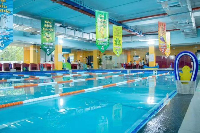 Bơi sinh tồn Aqua-Tots do ASC Education vận hành hiện có 4 cơ sở tại Hà Nội.