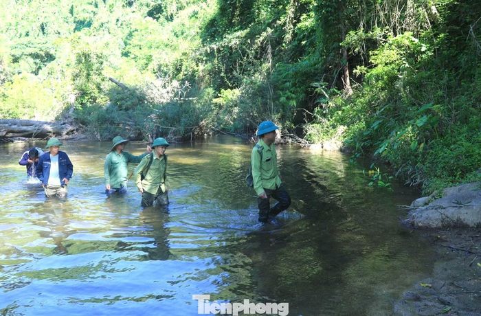 Hiện đơn vị thành lập 7 tổ phòng chống cháy rừng với hơn 50 người, bố trí trực 24/24h. Các trạm quản lý bảo vệ rừng thường xuyên kiểm tra, vận hành máy thổi dập lửa, máy cắt thực bì, flycam, thiết bị định vị GPS và chuẩn bị đầy đủ phương tiện theo phương châm “4 tại chỗ”.