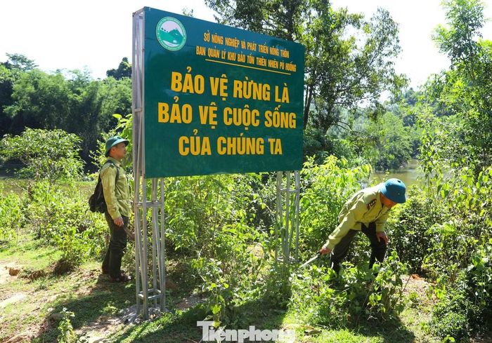  Giám đốc Khu Bảo tồn cho biết thêm, thời gian cao điểm cháy rừng kéo dài từ tháng 4 đến tháng 9 hằng năm, đặc biệt trong khung giờ từ 10h đến 16h. Nguyên nhân chủ yếu đến từ hoạt động đốt thực bì làm nương rẫy, xử lý đất trồng rừng và việc người dân vào rừng lấy mật ong bằng lửa. 