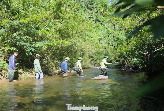 Ông Nguyễn Tống Phi - Trạm trưởng Trạm quản lý, bảo vệ rừng Bình Chuẩn cho hay, mỗi tuần đơn vị đều tăng tần suất các chuyến tuần tra, kiểm soát khu vực rừng trọng điểm, tuyến khe suối; siết chặt quản lý người ra vào rừng và sẵn sàng phương tiện, nhân lực theo phương châm “4 tại chỗ.”