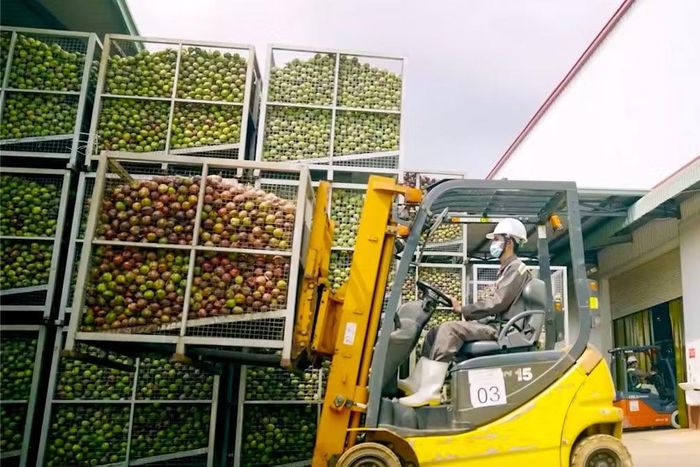 Các nhà máy của Nafoods Group vẫn giữ nhịp sản xuất ổn định trước xung đột ở các nước Trung Đông.