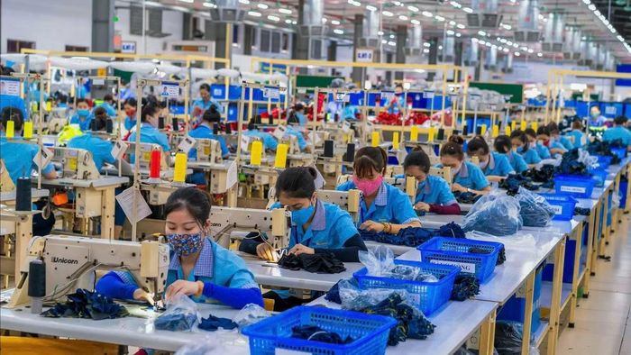 Công nhân làm việc tại Công ty Haivina Kim Liên.