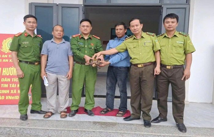 Lực lượng chức năng tiếp nhận cá thể rùa núi viền để bàn giao cho Vườn Quốc gia Pù Mát cứu hộ.