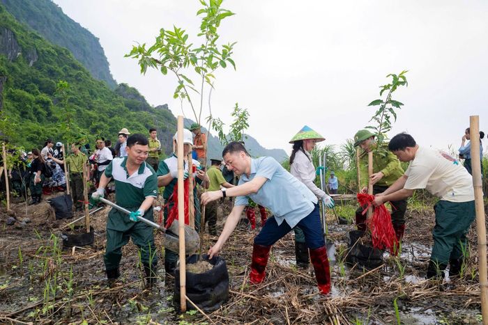 Các đại biểu tham gia chương trình trồng rừng “Forestival” tại Khu Bảo tồn Thiên nhiên đất ngập nước Vân Long. (Ảnh: Ngọc Linh)