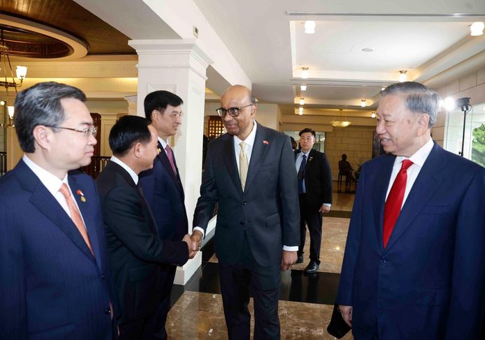 Tổng Bí thư, Chủ tịch nước Tô Lâm giới thiệu với Tổng thống Singapore Tharman Shanmugaratnam thành viên đoàn đại biểu Việt Nam. Ảnh: TTXVN