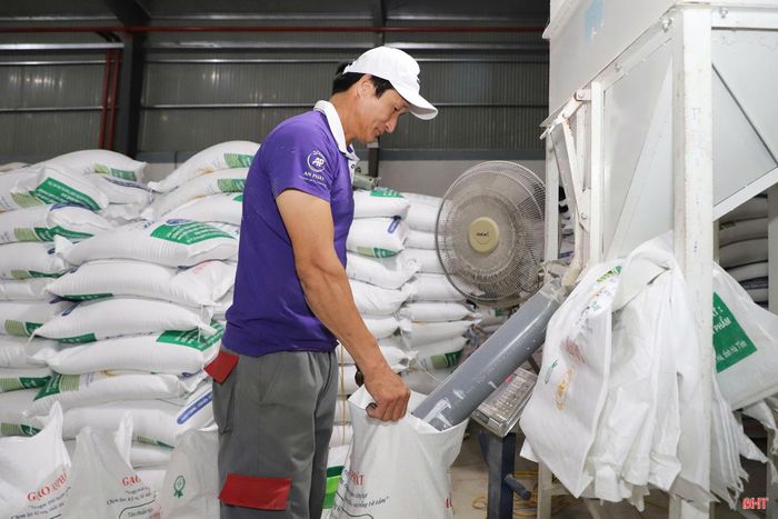 Giai đoạn 2020-2025, Hà Tĩnh đã triển khai nhiều cơ chế, chính sách hỗ trợ doanh nghiệp.