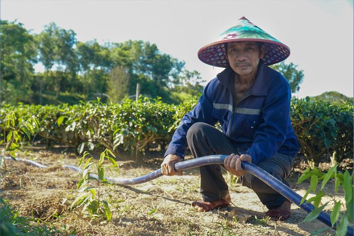Hiện nay, xã Kỳ Thượng có khoảng 90 ha chè nguyên liệu. Để chủ động nguồn nước tưới trong mùa nắng nóng, nhiều hộ dân đã đầu tư khoan giếng, đào ao tích trữ nước tại các khu vực xa sông, suối, đồng thời tận dụng nguồn nước từ khe, suối tự nhiên để bơm dẫn lên các đồi chè phục vụ chống hạn.