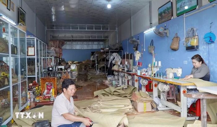 Gia công các sản phẩm thủ công mỹ nghệ từ cỏ bàng của người dân vùng biên giới Giang Thành. (Ảnh: Văn Sĩ/TTXVN)