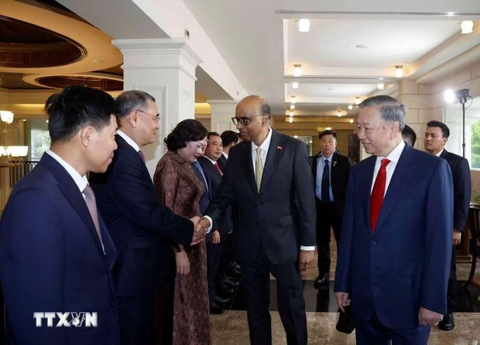 Tổng Bí thư, Chủ tịch nước Tô Lâm giới thiệu với Tổng thống Singapore Tharman Shanmugaratnam thành viên đoàn đại biểu cấp cao Việt Nam dự Lễ đón. (Ảnh: Thống Nhất/TTXVN)