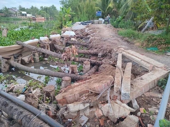 Đơn vị thi công dùng cơ giới đóng cọc, đắp đất gia cố xong đoạn sạt lở “hàm ếch”. Ảnh: Công Trí - TTXVN