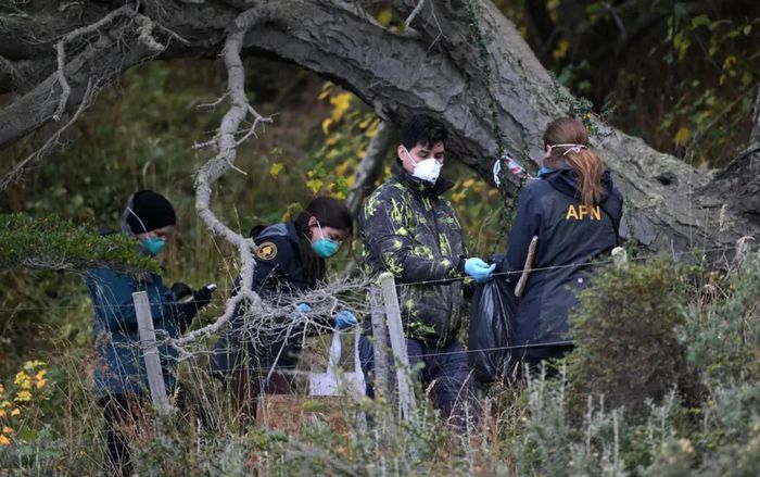 Đầu tháng này, các nhà khoa học đã bắt những con chuột ở Ushuaia, Argentina, để xác định xem virus hantavirus đã lây lan đến khu vực này hay chưa. Ảnh: AFP/Getty Images