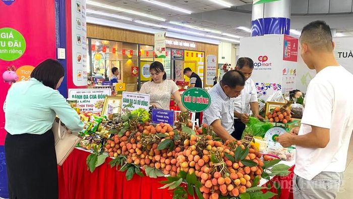 Khách hàng mua sắm tại siêu thị Co.opmart Hải Phòng.