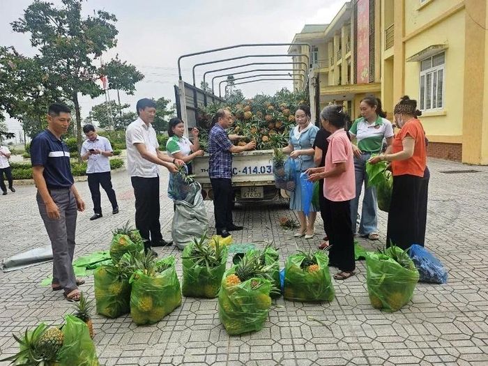Đồng chí Vũ Tiến Dũng, Phó Chủ tịch Hội Nông dân tỉnh Thanh Hóa cùng Hội Nông dân phường Đông Tiến hỗ trợ tiêu thụ gần 3 tấn dứa cho bà con nông dân.